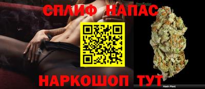 ALPHA PVP Будённовск
